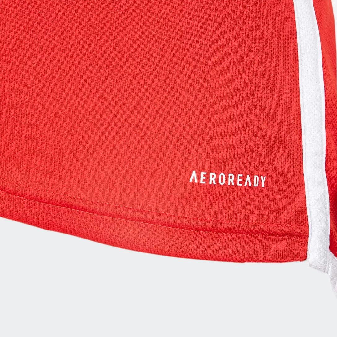 Maillot adidas Internacional 2024/25 I