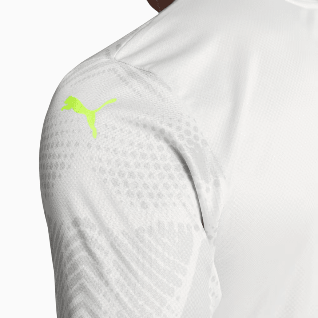 Maillot Goleiro Palmeiras 2025/26 III Version Joueur