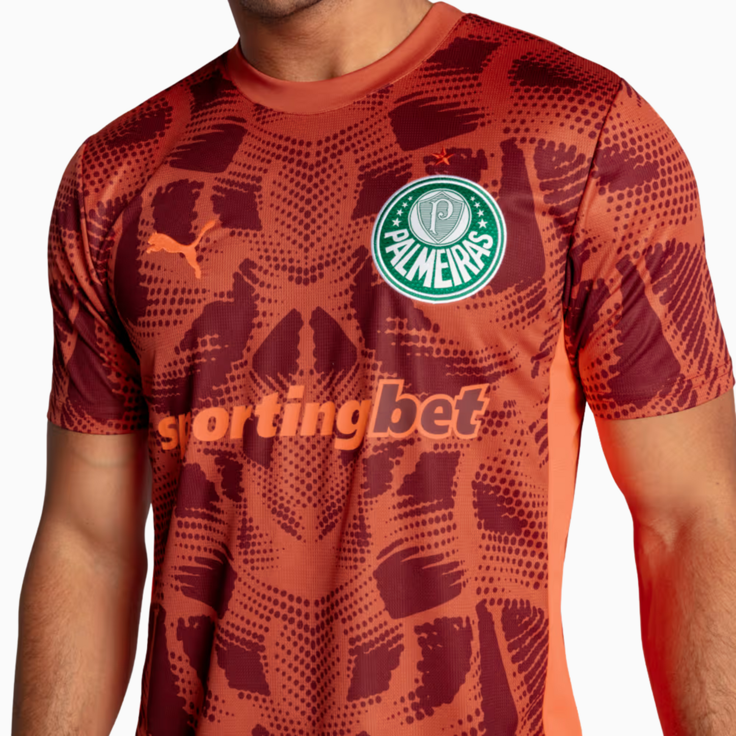 Maillot Goleiro Palmeiras 2025/26 II – Version Supporter