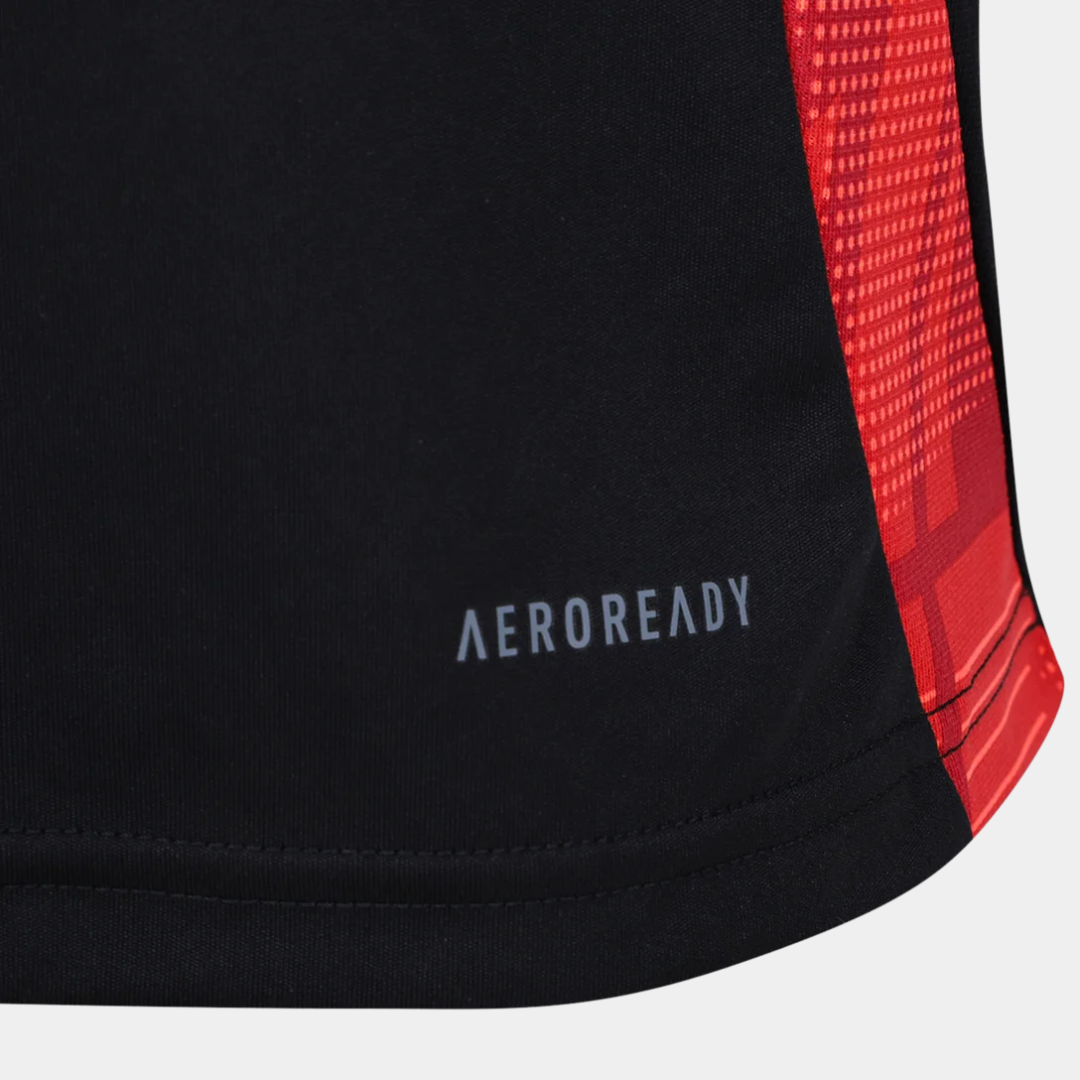 Maillot adidas Internacional 2025/26 Entraînement