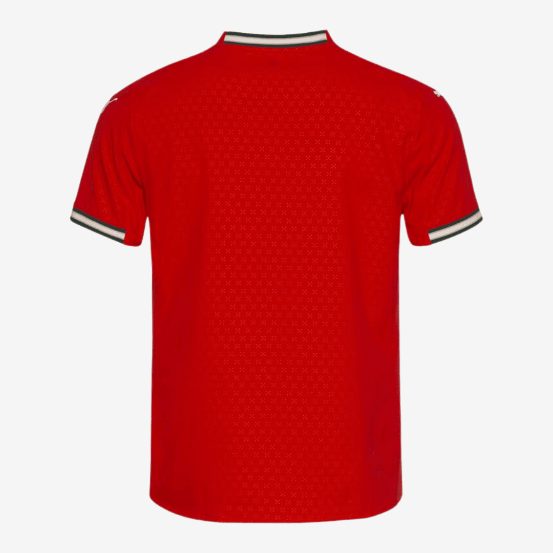 Maillot Puma Portugal 2025 I Joueur