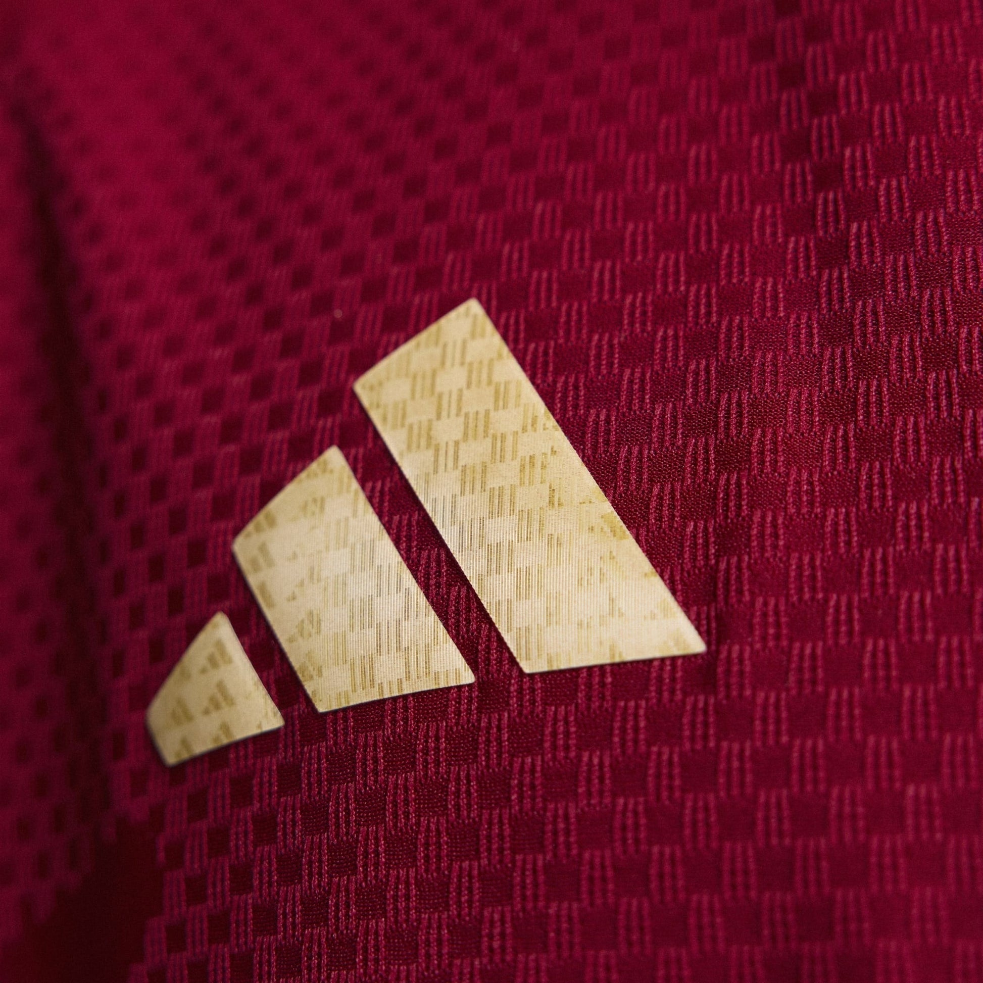 Maillot Goleiro Italie 2026/27 I Joueur