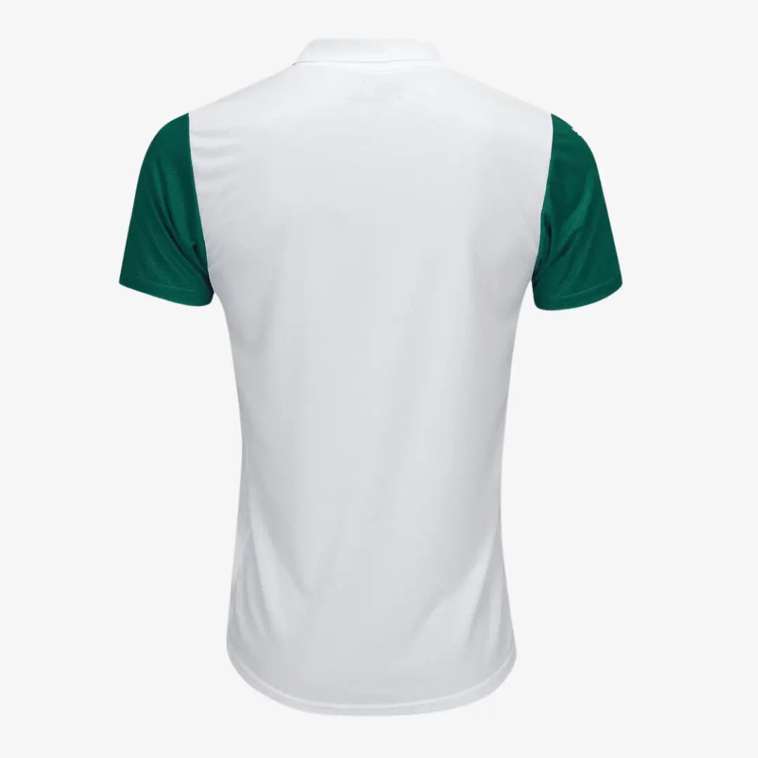 Maillot Puma Palmeiras 2025/26 II Version Joueur