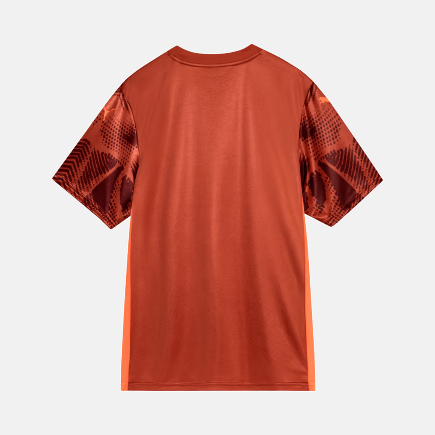 Maillot Goleiro Palmeiras 2025/26 II – Version Supporter