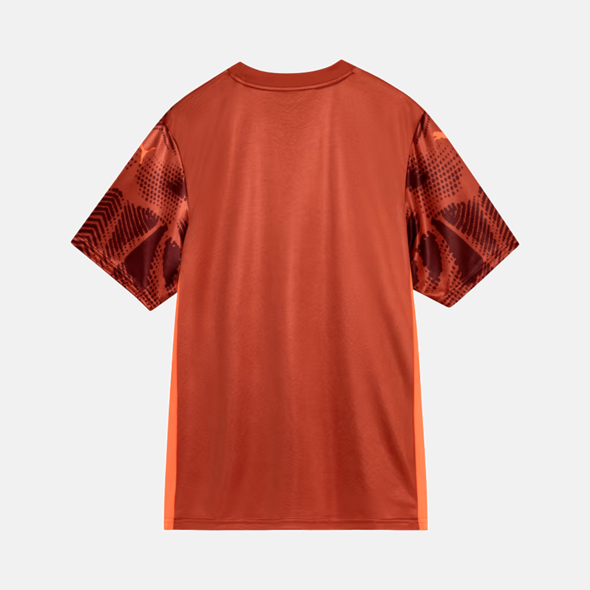 Maillot Goleiro Palmeiras 2025/26 II – Version Supporter