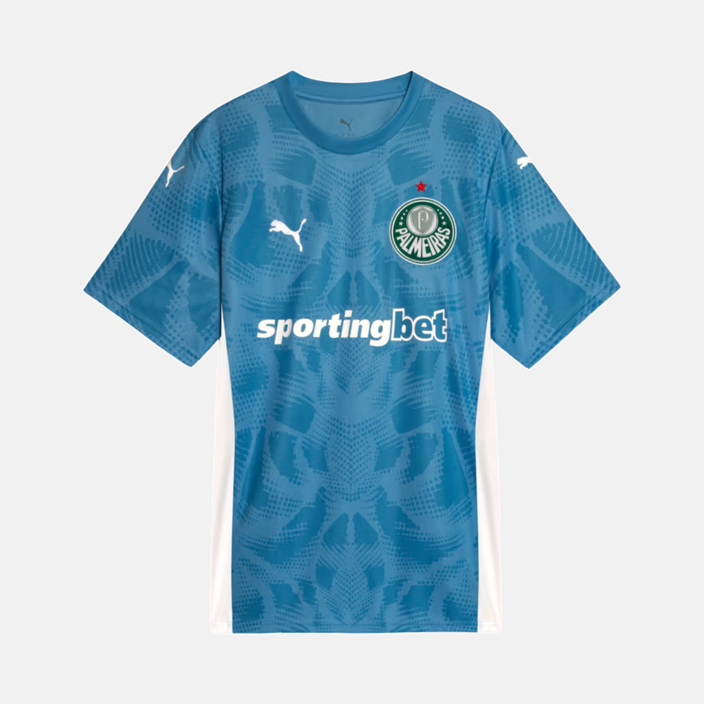 Maillot Goleiro Palmeiras 2025 I – Version Supporter