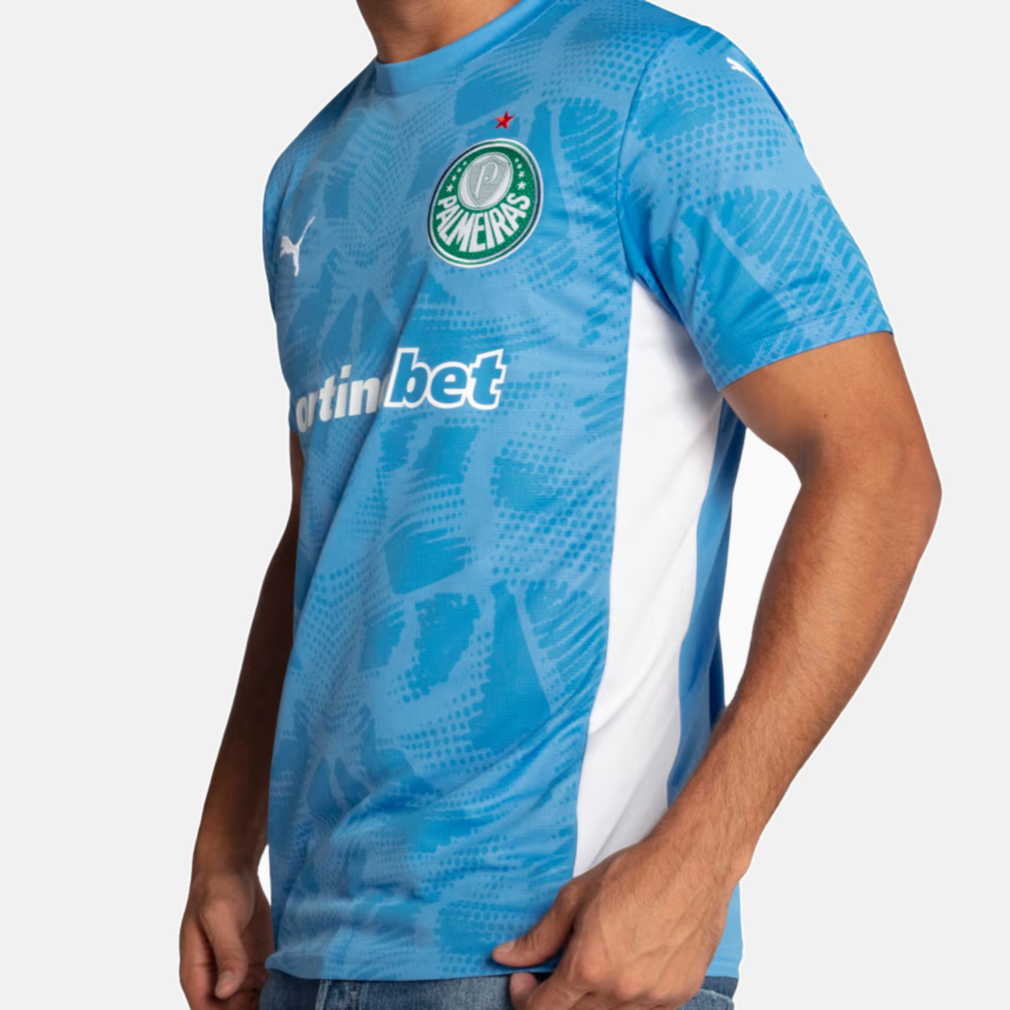 Maillot Goleiro Palmeiras 2025 I – Version Supporter