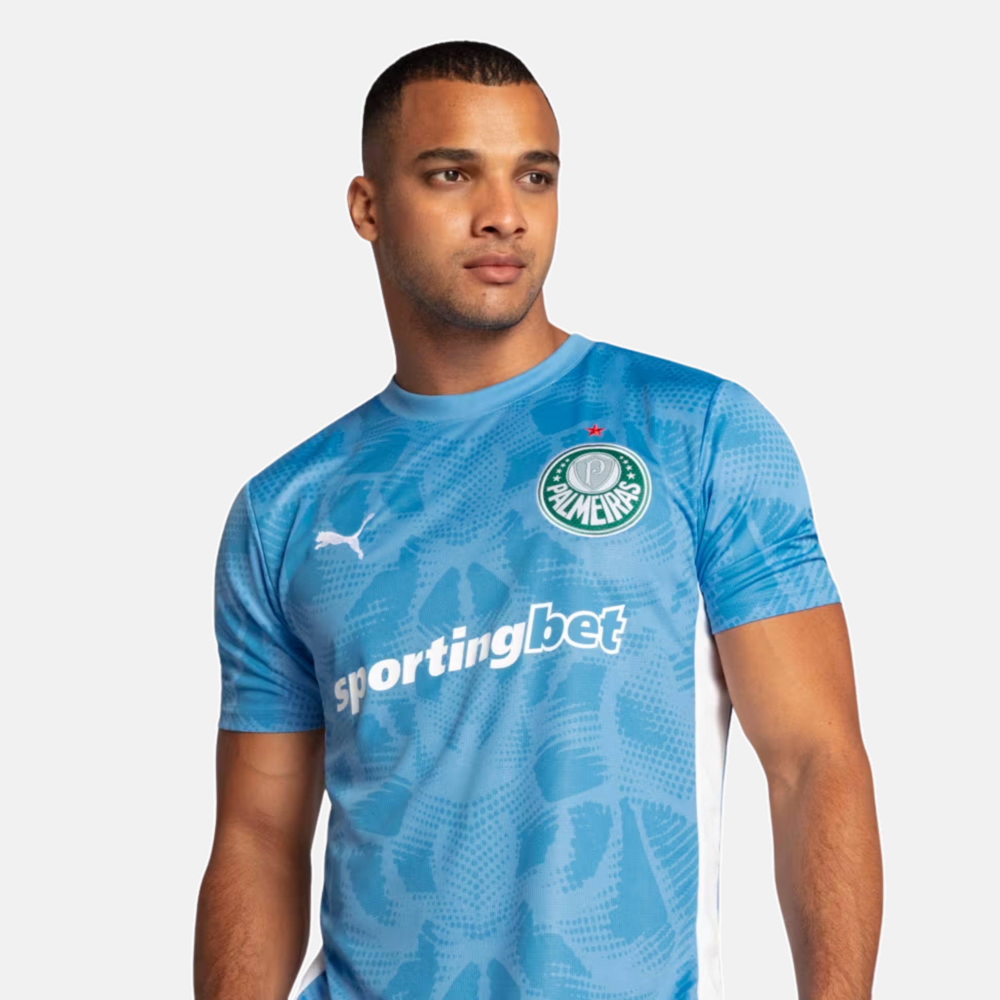 Maillot Goleiro Palmeiras 2025 I – Version Supporter