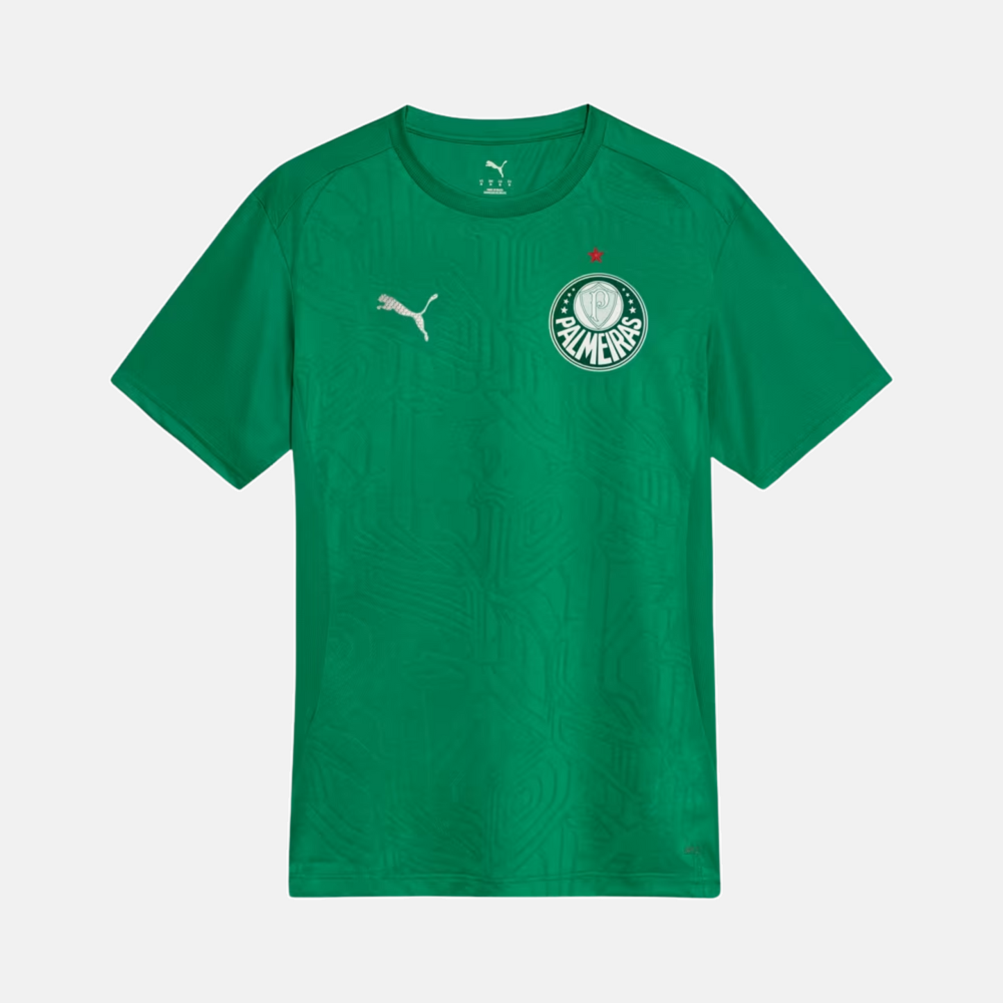 Maillot Palmeiras 2025 – Entraînement