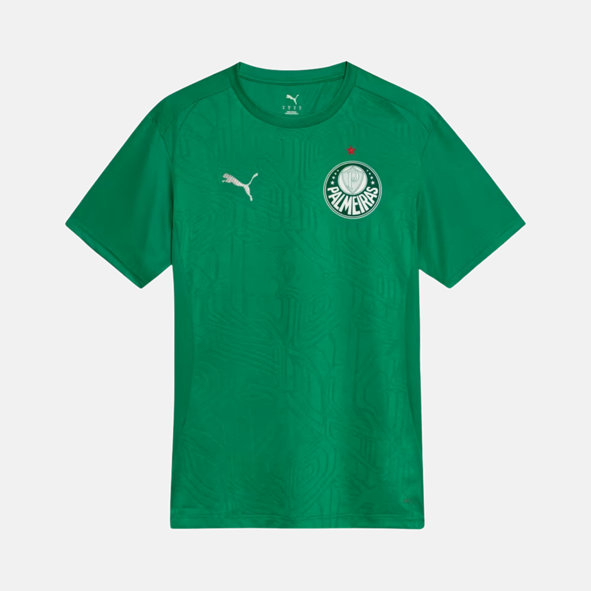 Maillot Palmeiras 2025 – Entraînement