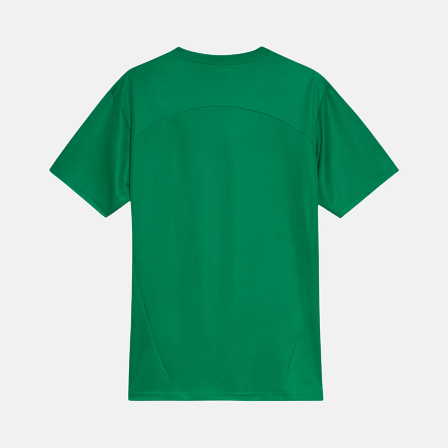 Maillot Palmeiras 2025 – Entraînement