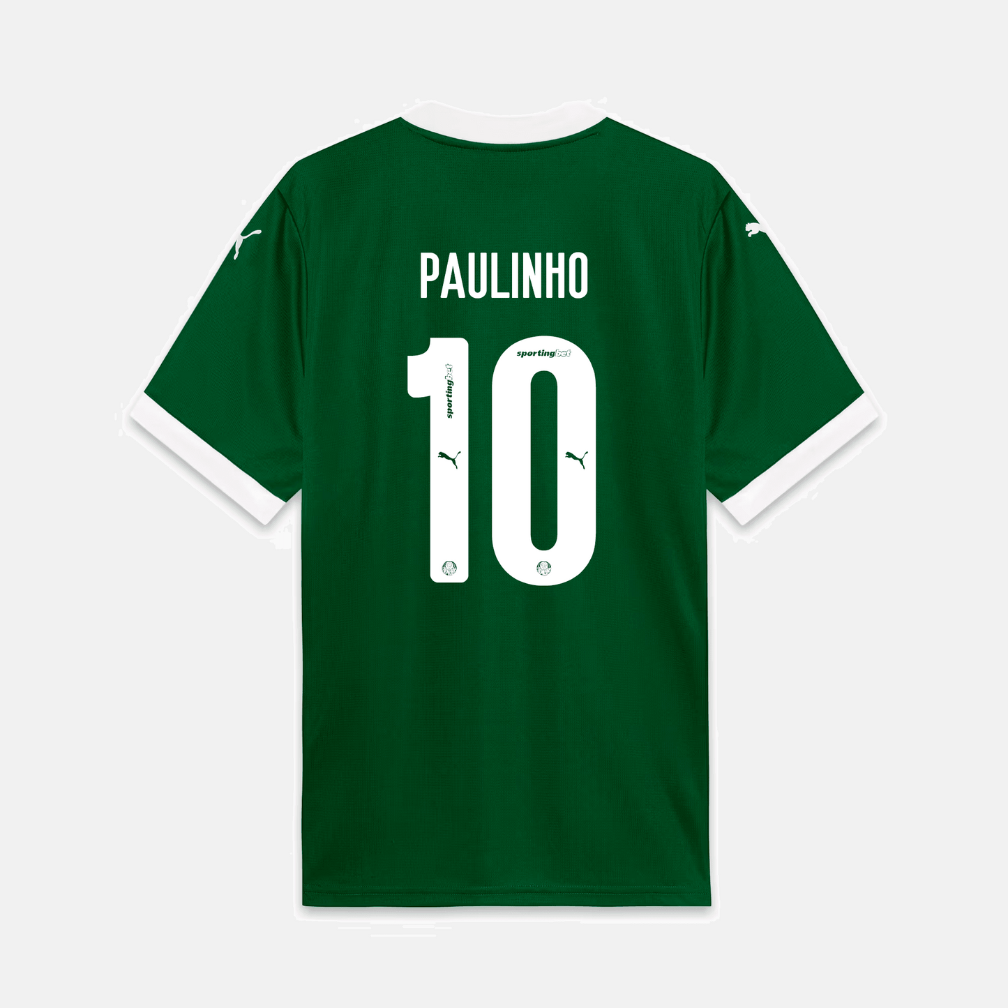 Maillot Puma Palmeiras 2025/26 I - Paulinho N° 10