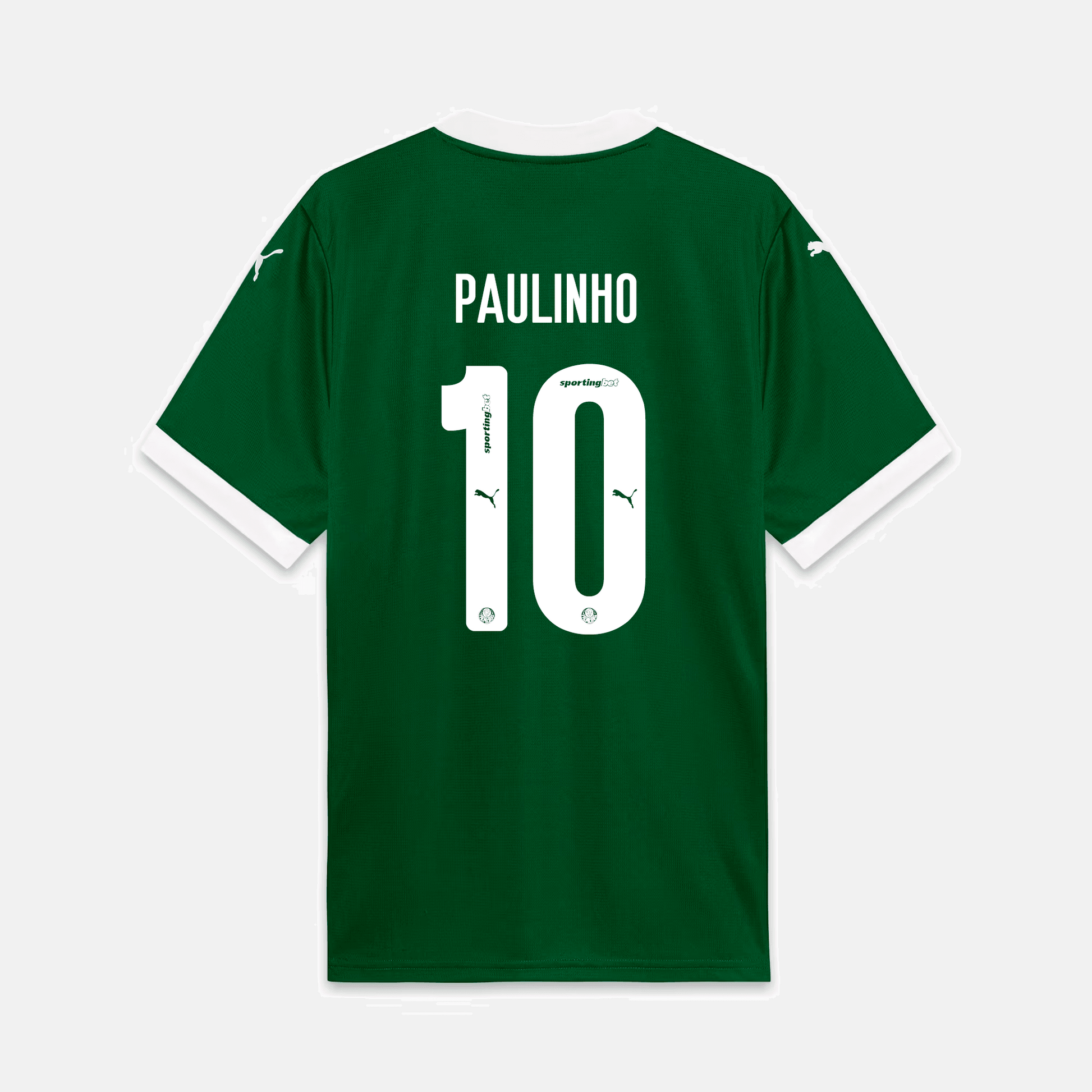Maillot Puma Palmeiras 2025/26 I - Paulinho N° 10