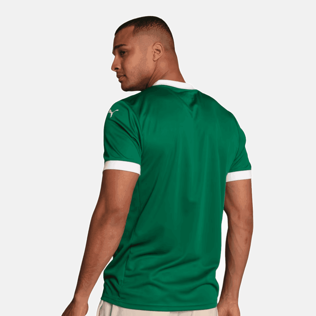 Maillot Puma Palmeiras 2025/26 I - Piquerez N° 22