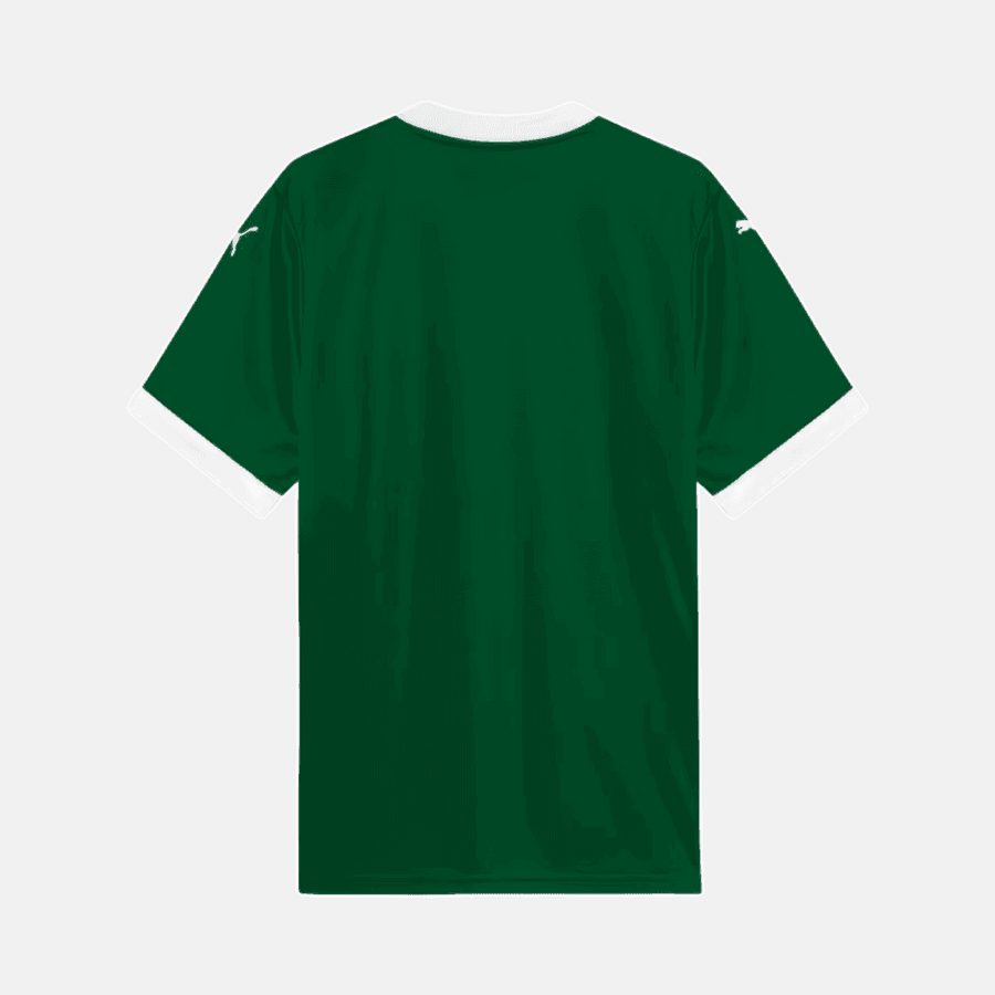 Maillot Puma Palmeiras 2025/26 I Version Supporter