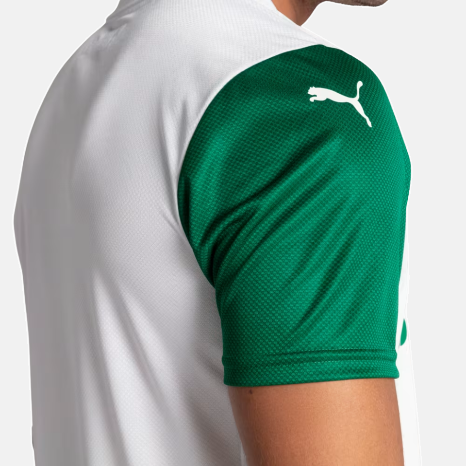 Maillot Puma Palmeiras 2025/26 II Version Joueur