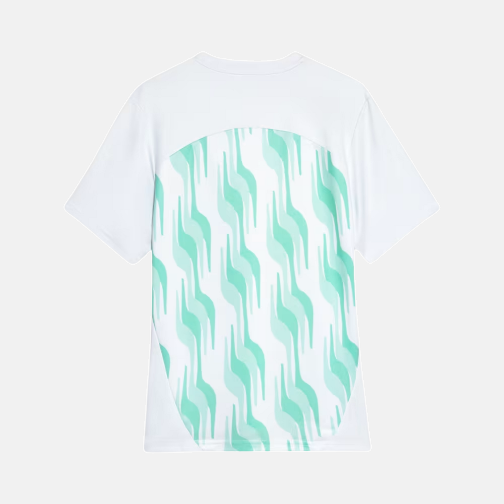 Maillot Puma Palmeiras 2025/26 Pré-Jogo