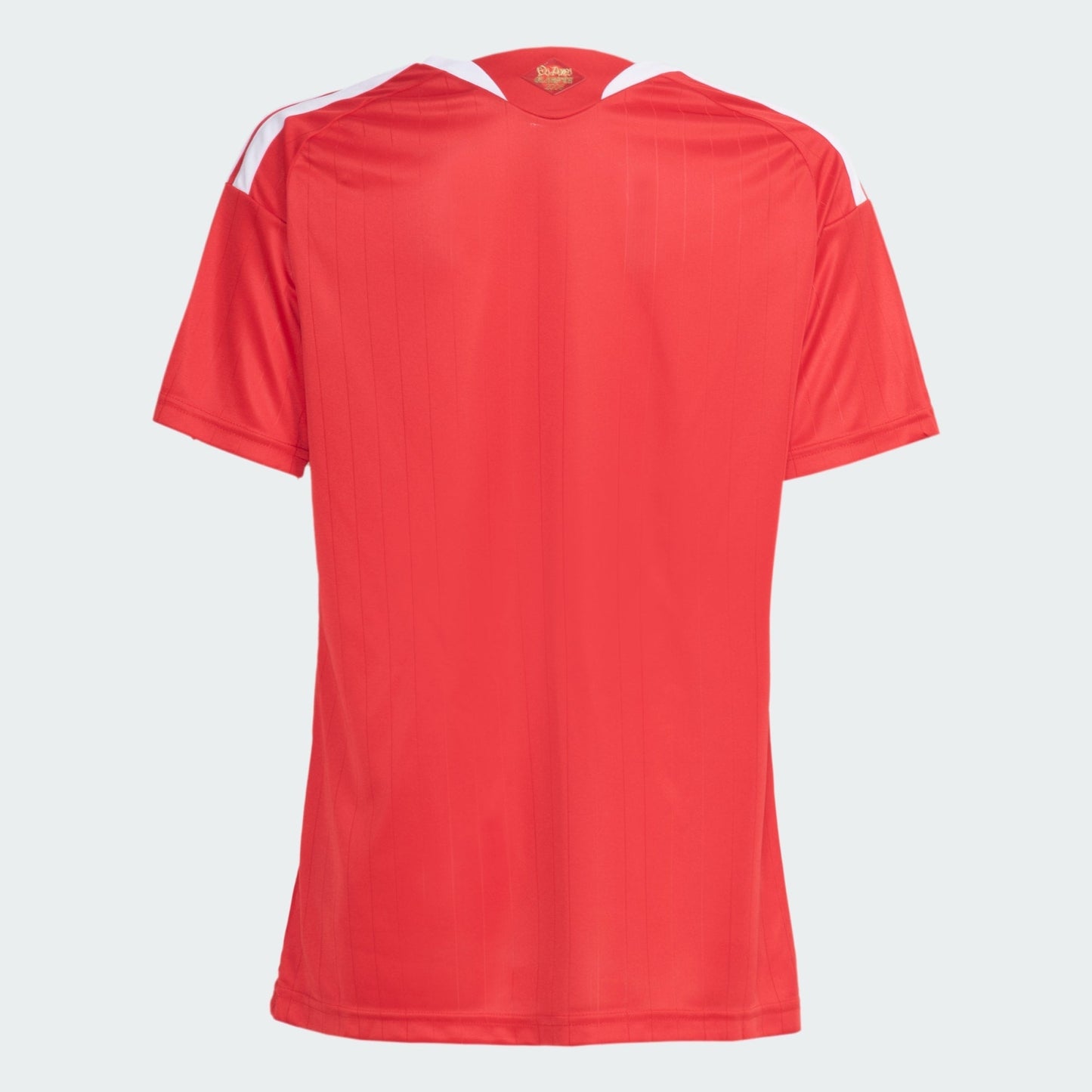Maillot Femme Internacional 2026/27 I