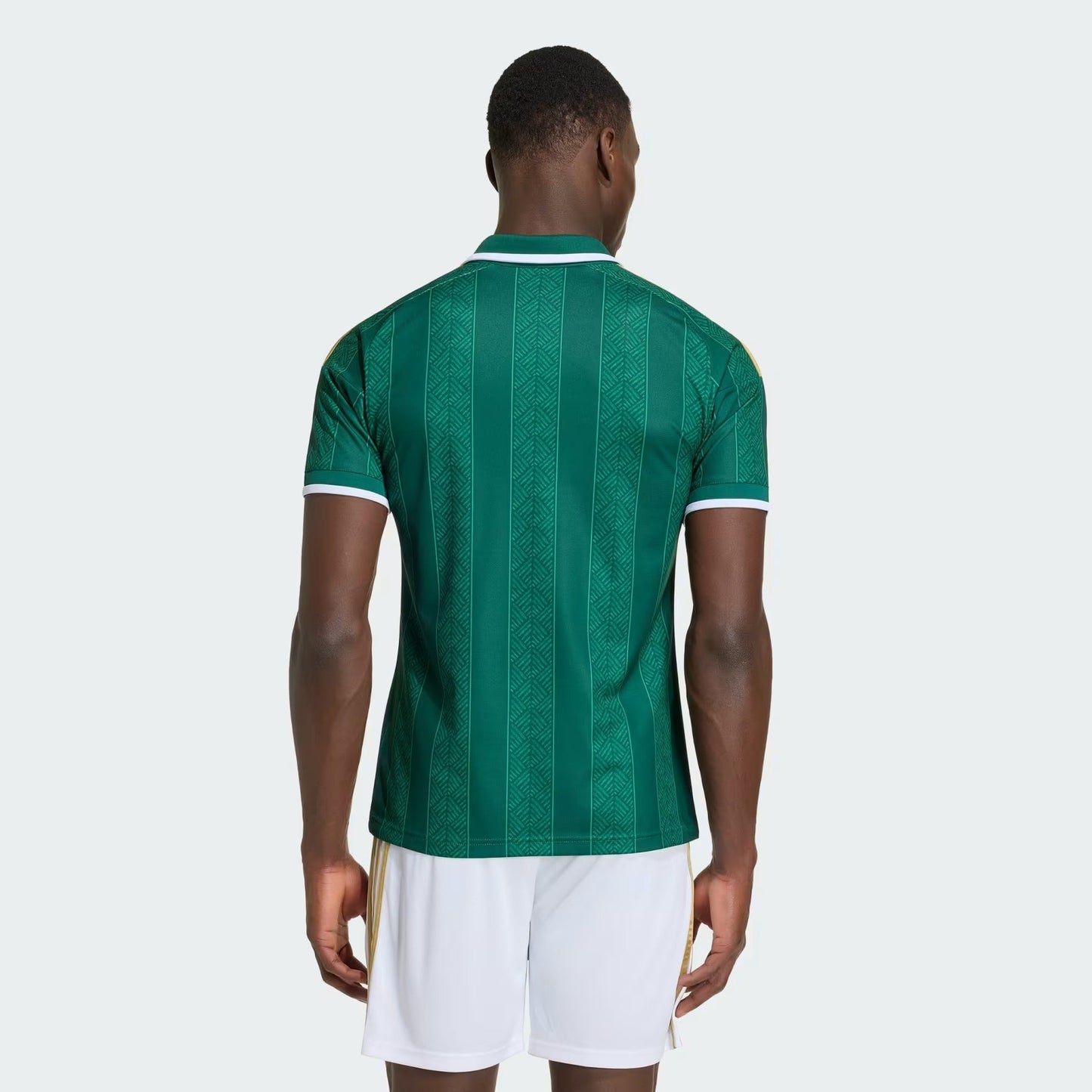 Maillot Afrique du Sud 2026/27 I