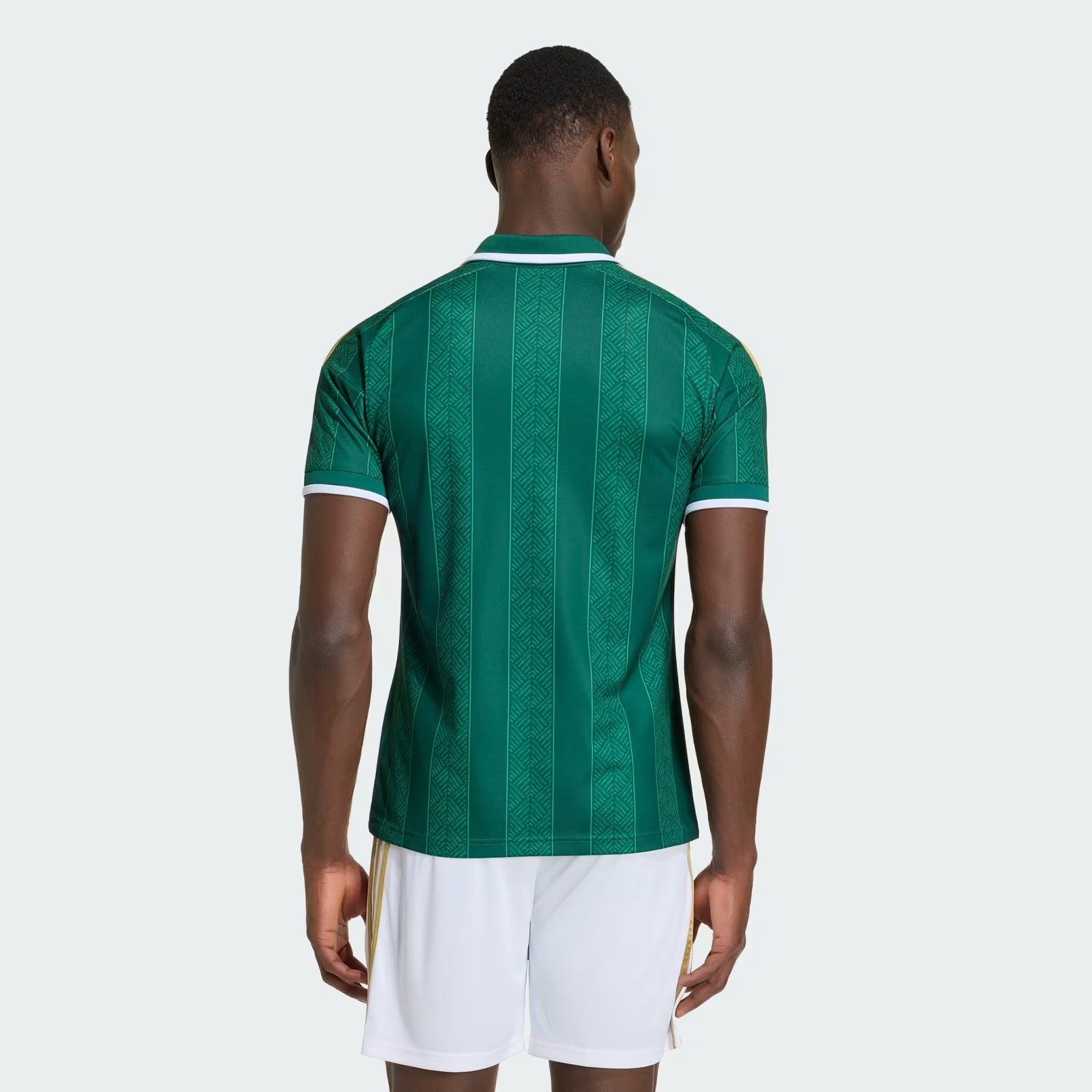 Maillot Afrique du Sud 2026/27 I