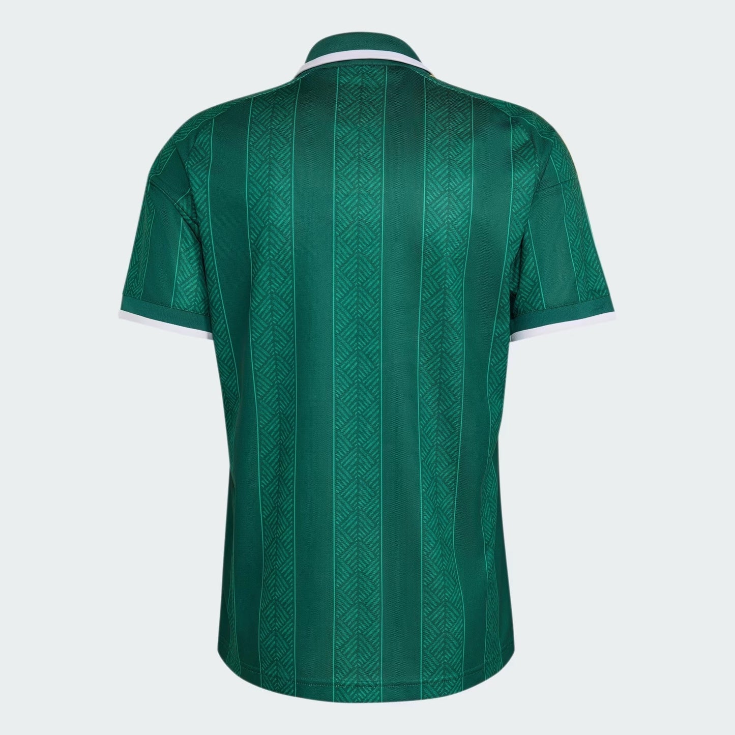 Maillot Afrique du Sud 2026/27 I