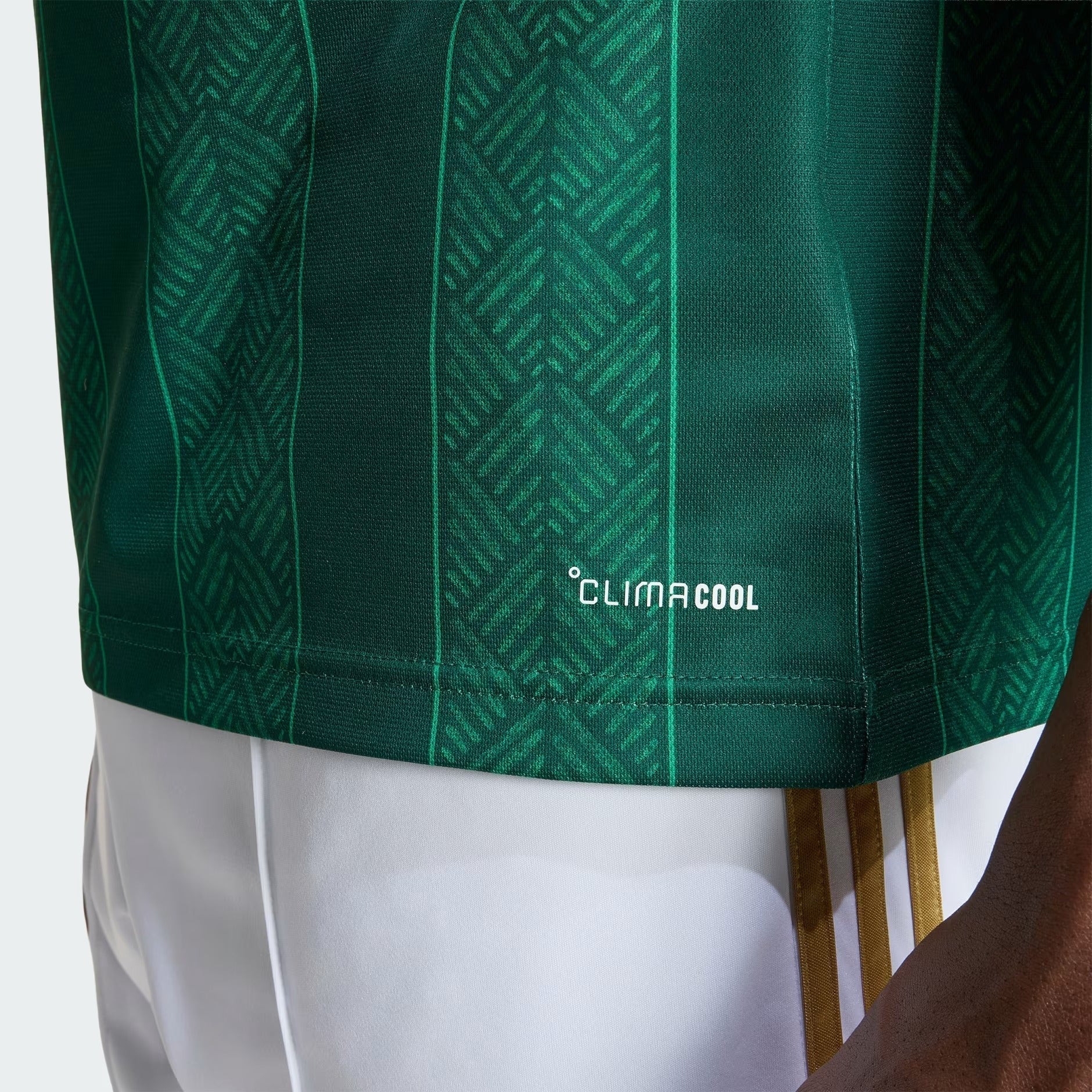 Maillot Afrique du Sud 2026/27 I