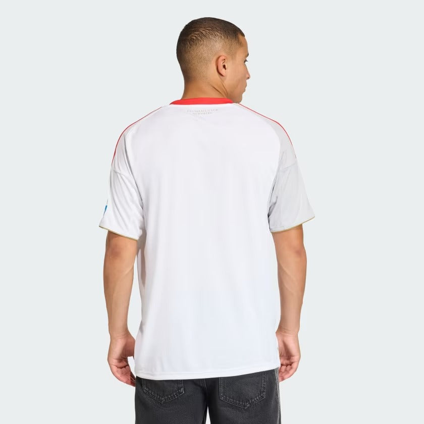 Maillot adidas 1. FC Nürnberg 2025/26 II