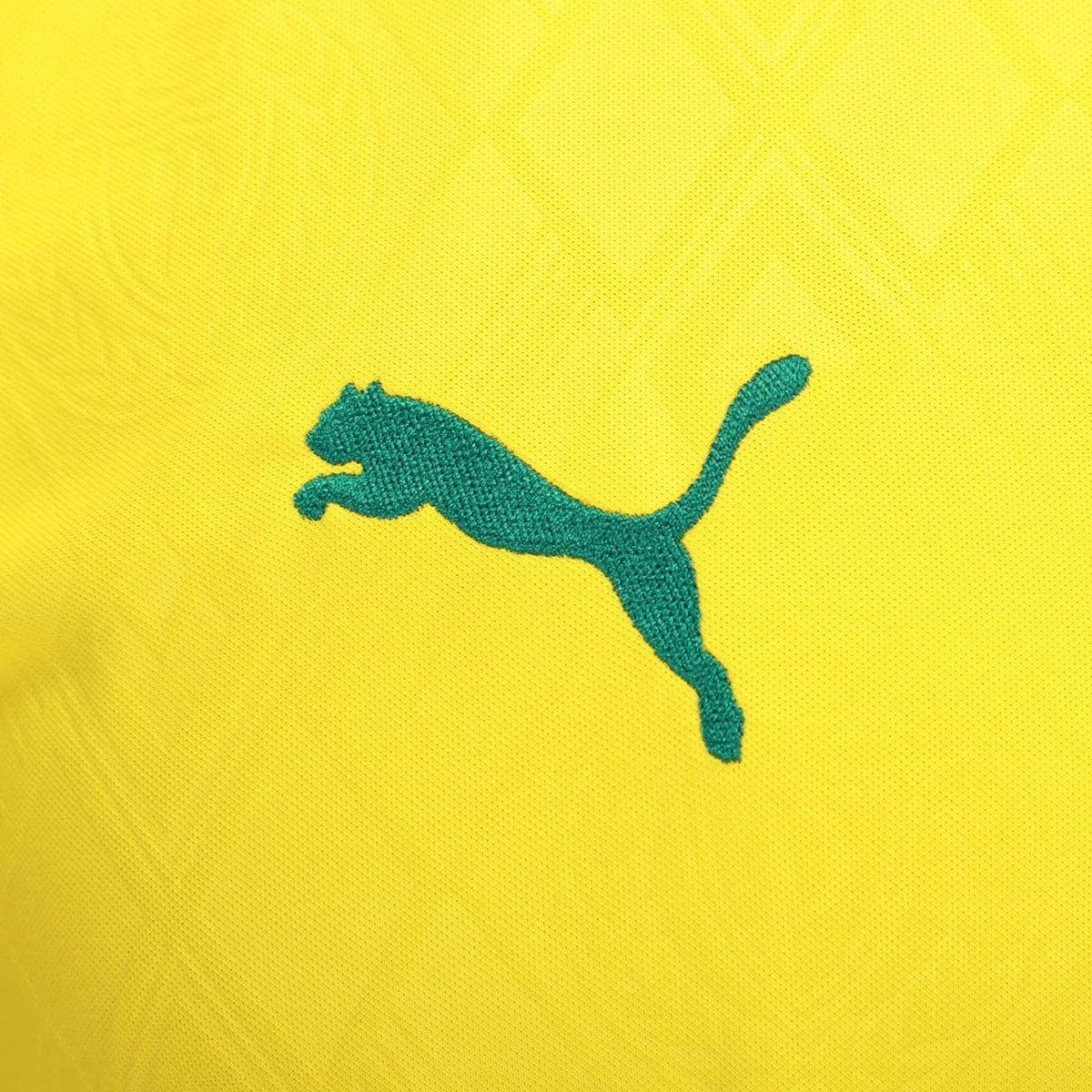 Maillot Puma Palmeiras 2025/26 III Version Supporter