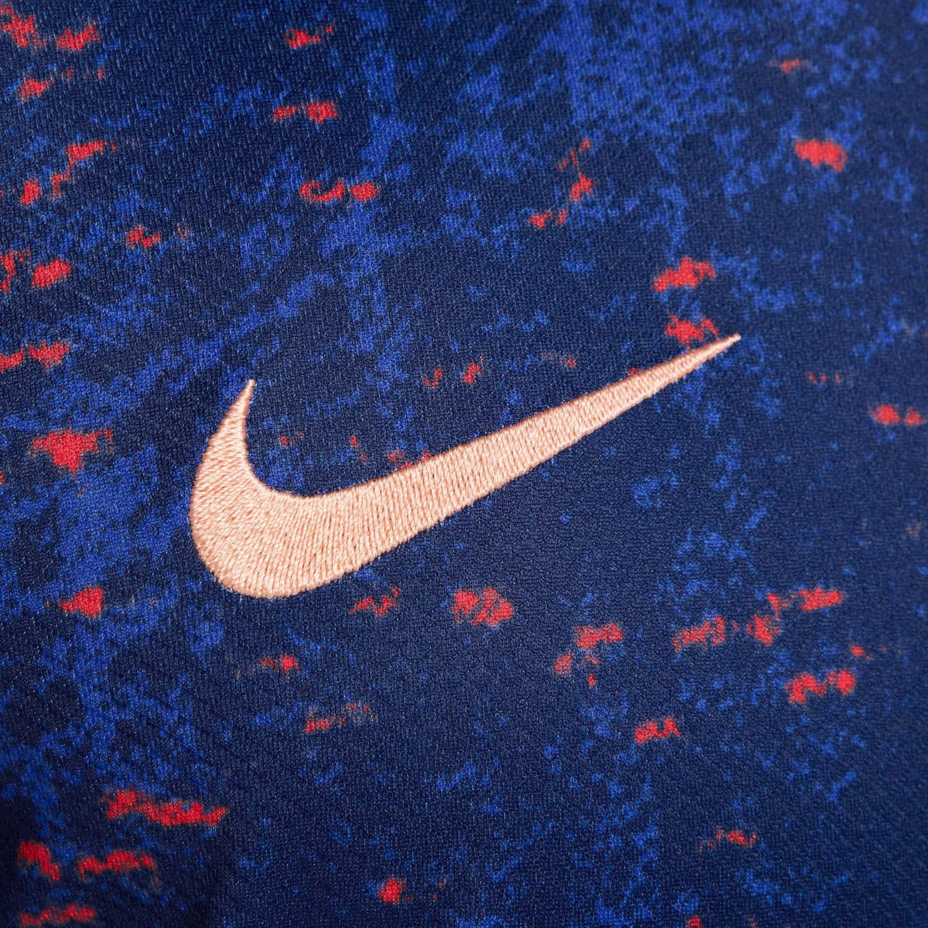 Maillot Nike France 2025 I Fan